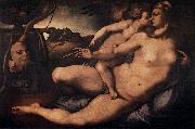 Jacopo Pontormo Venus and Cupid painting